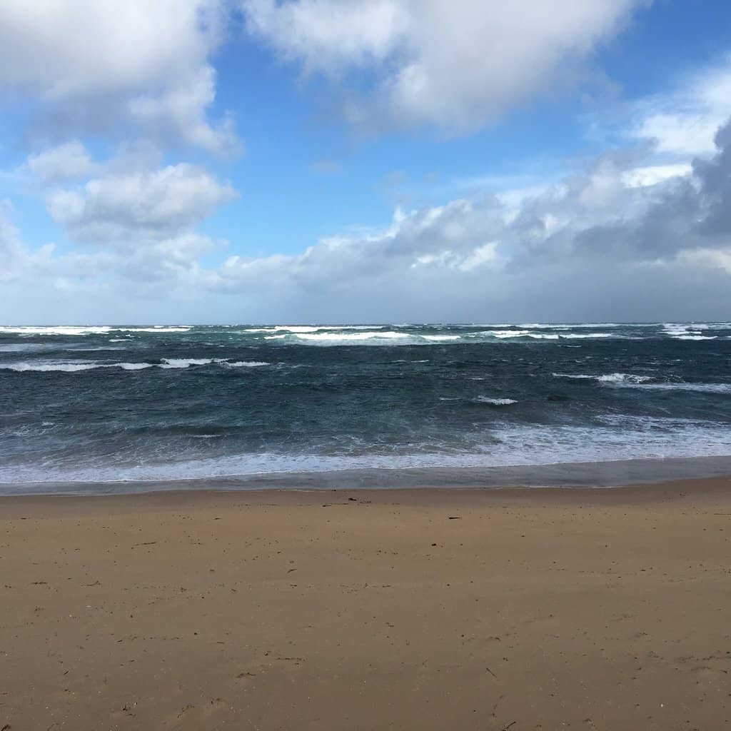 Clothing-Optional Freedom