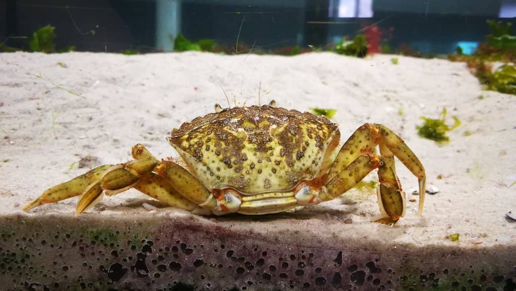 Interactive Wadden Sea Exhibits