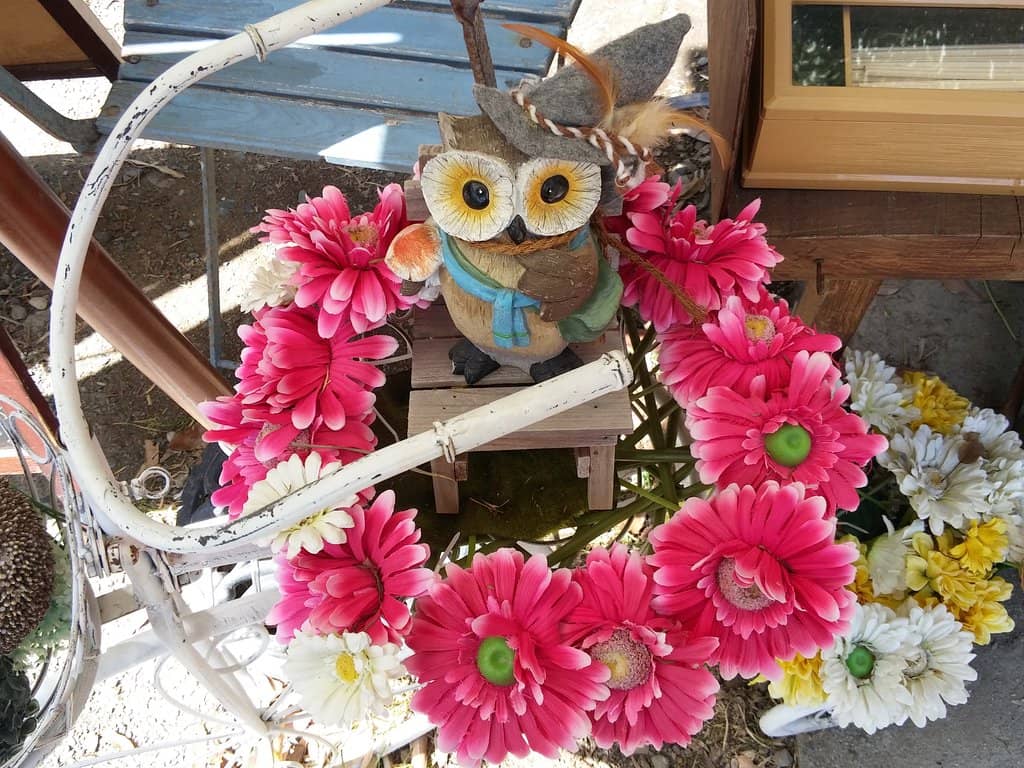 Artisan Shops & Cafes