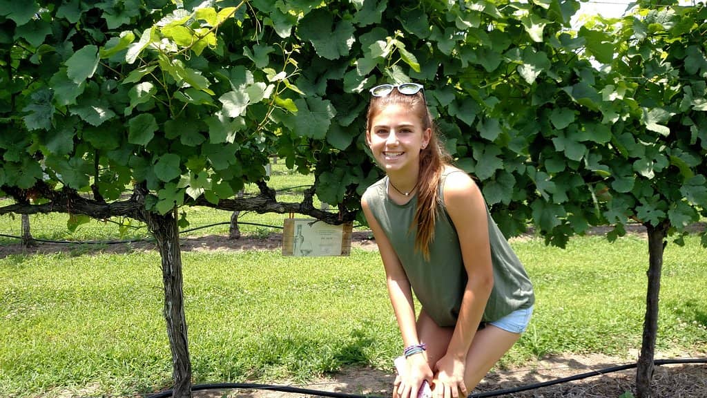 Wine Flights & Tastings