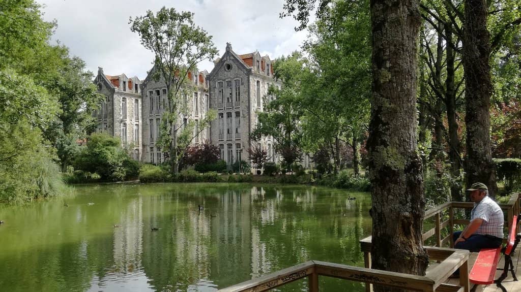 Lush Gardens & Old Trees