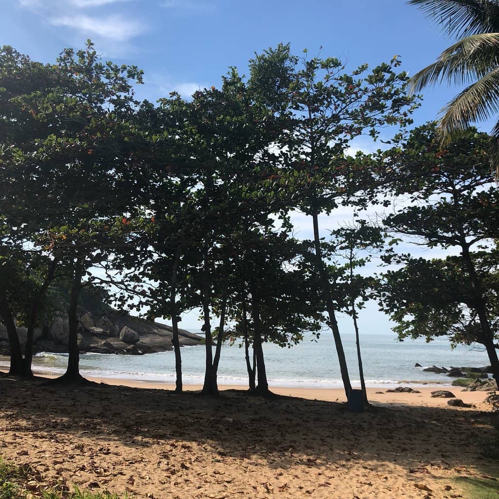 Secluded Cove Ambiance