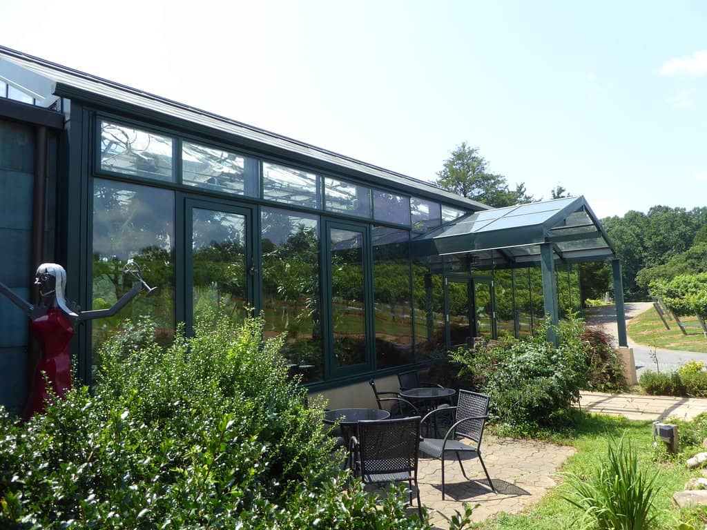 Dog-Friendly Patio
