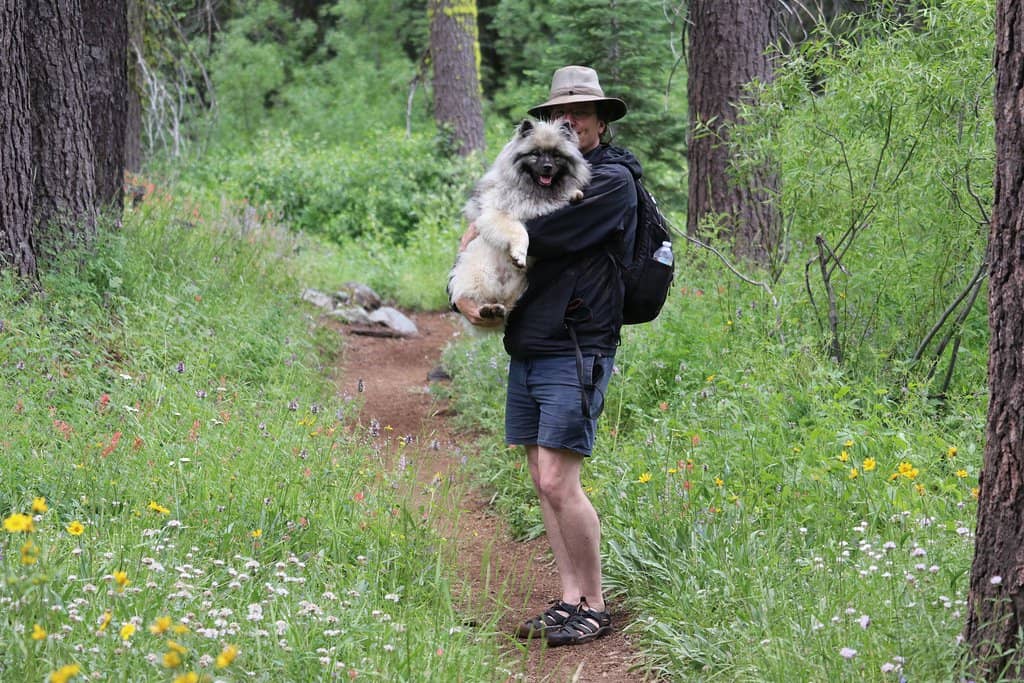 Hiking Trails