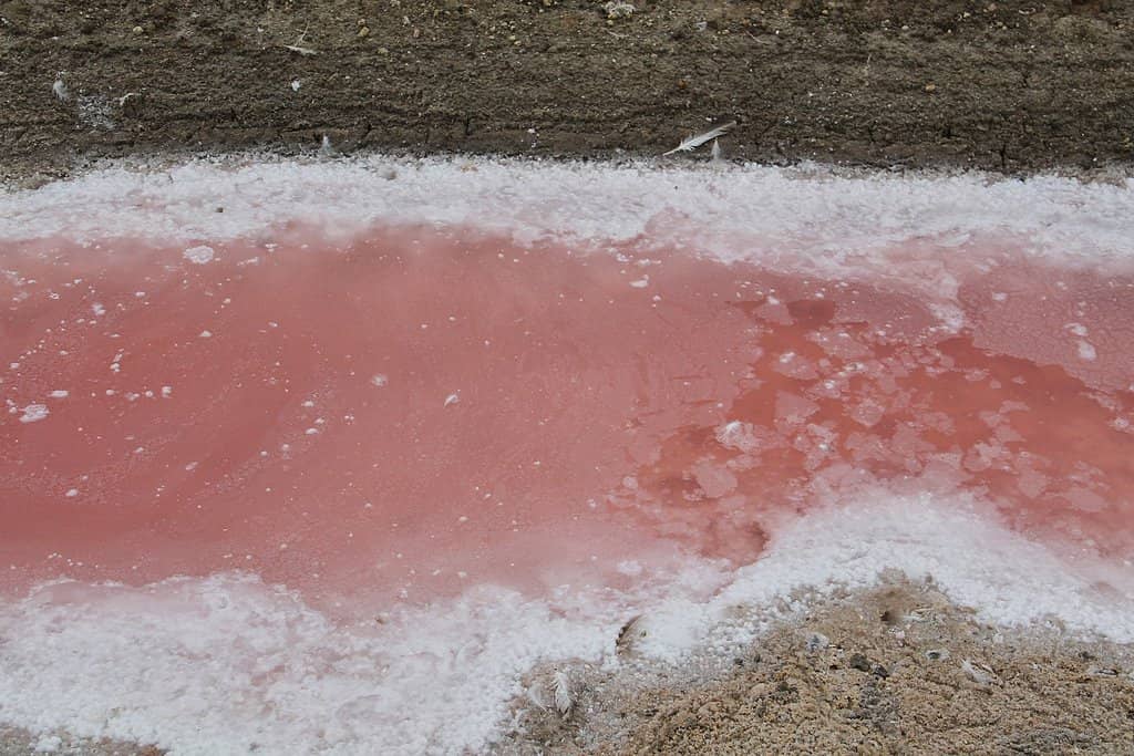 Salt Pan Landscapes