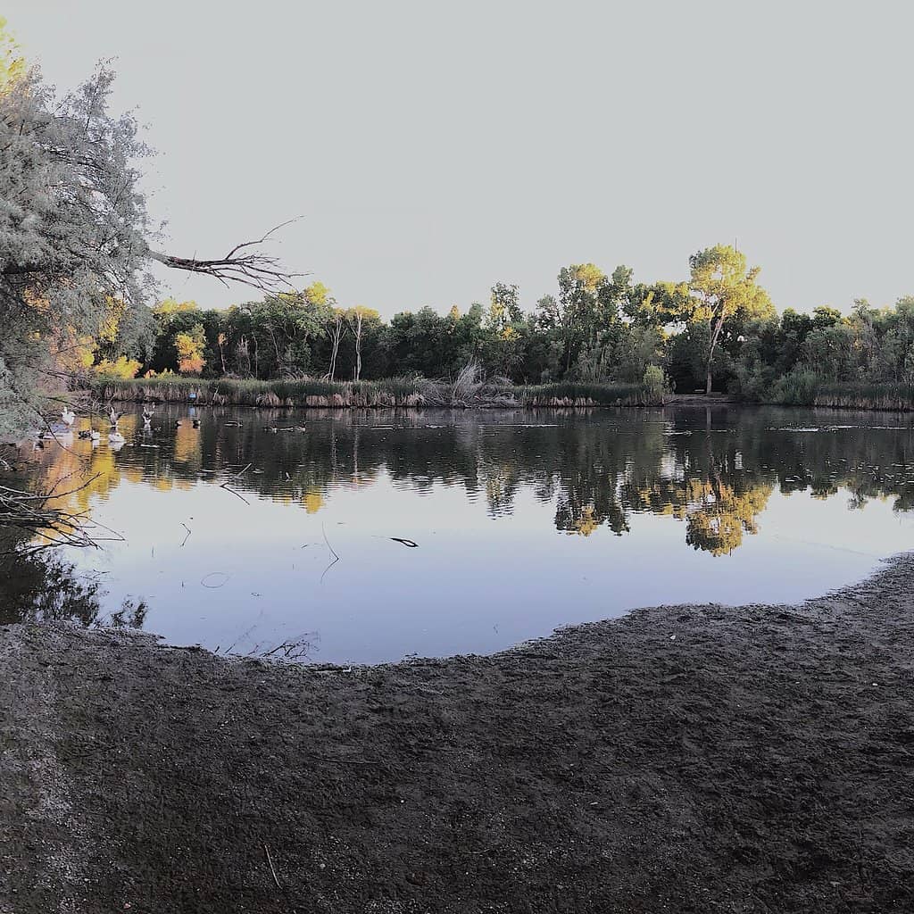 Nature's Playground