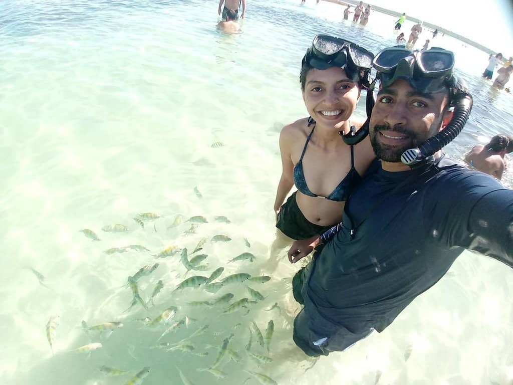 Pristine Sandy Shores