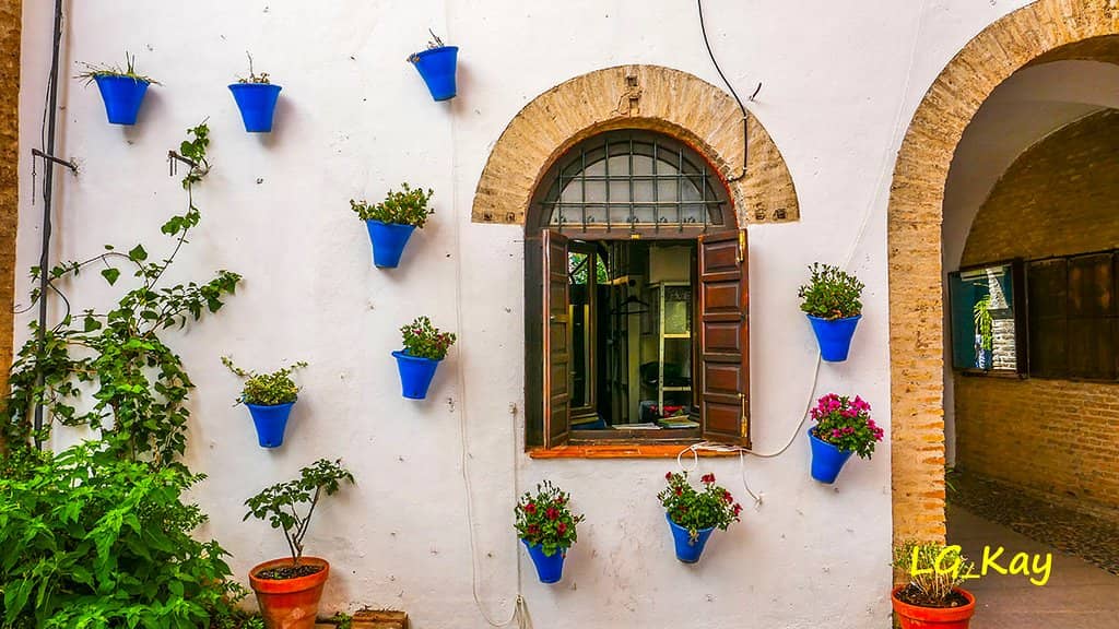 Andalusian Courtyard