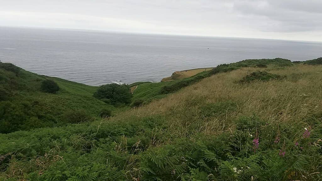 Coastal Vistas