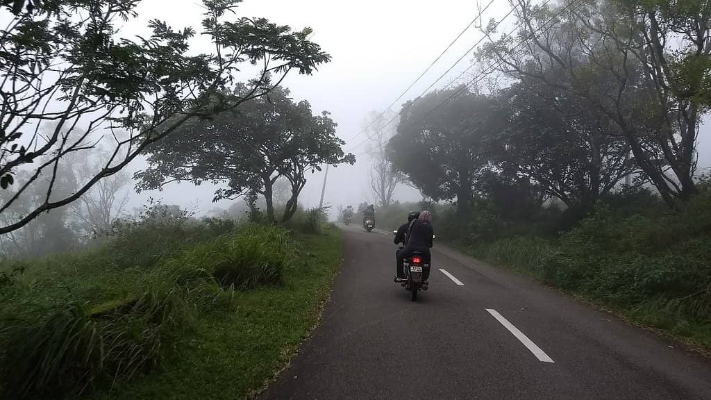 Misty Mornings