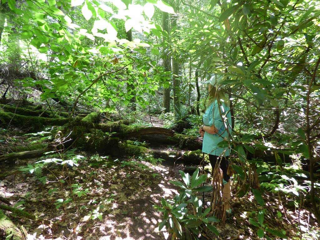 Disc Golf Course