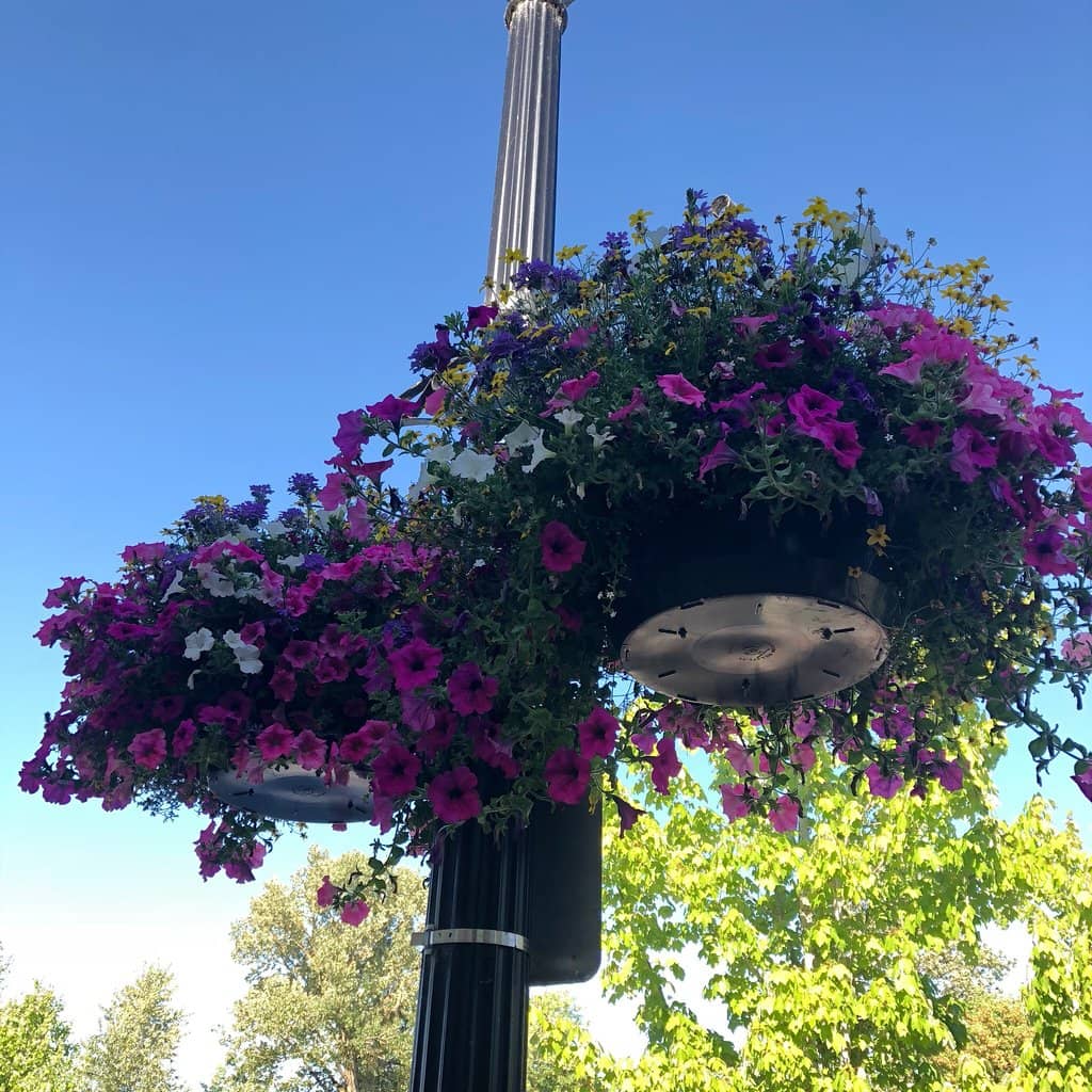 Community Gathering Spot