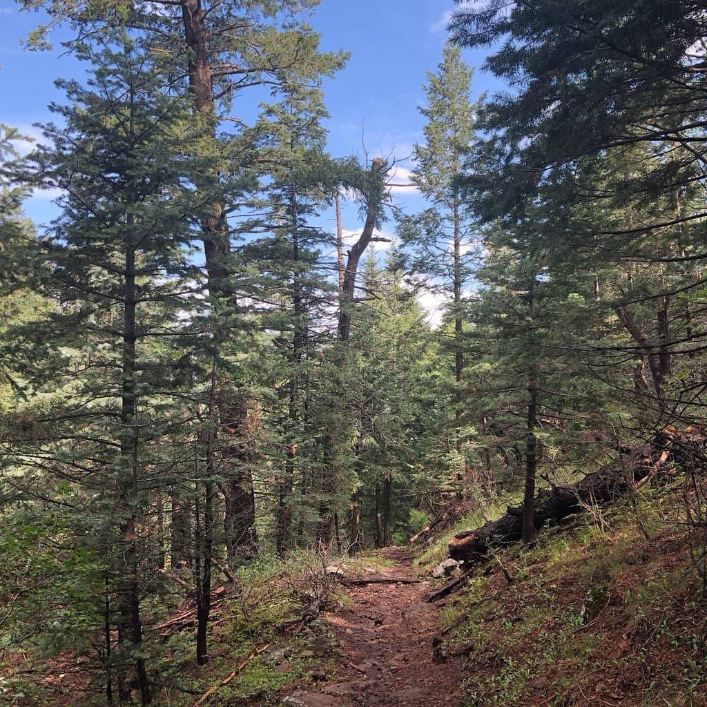 Historic Fire Lookout Tower