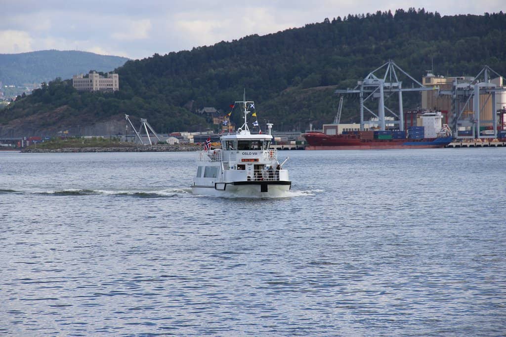 Seashell Discoveries