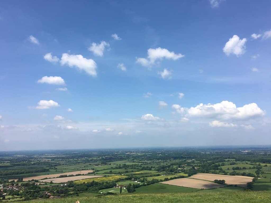 Wildflower and Wildlife Spotting