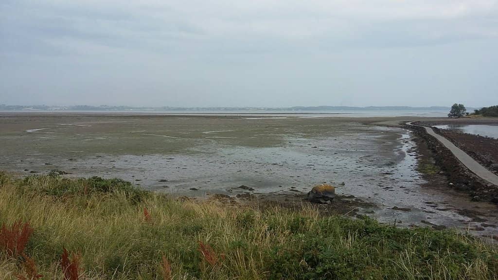 Panoramic Lough Views