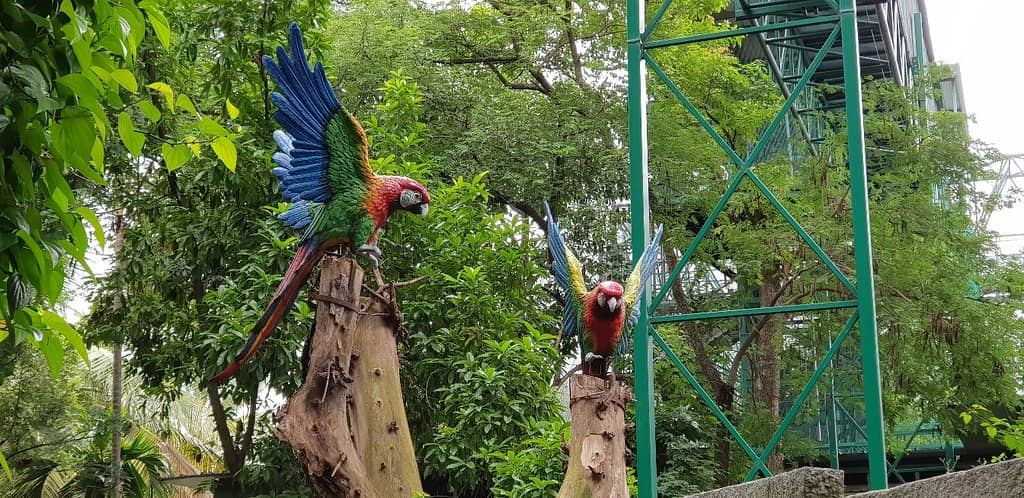 Exotic Parrot Aviary