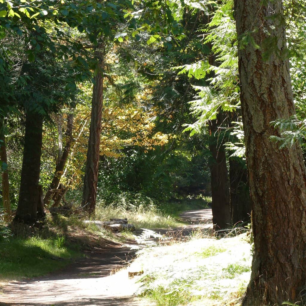 Island Exploration Trails