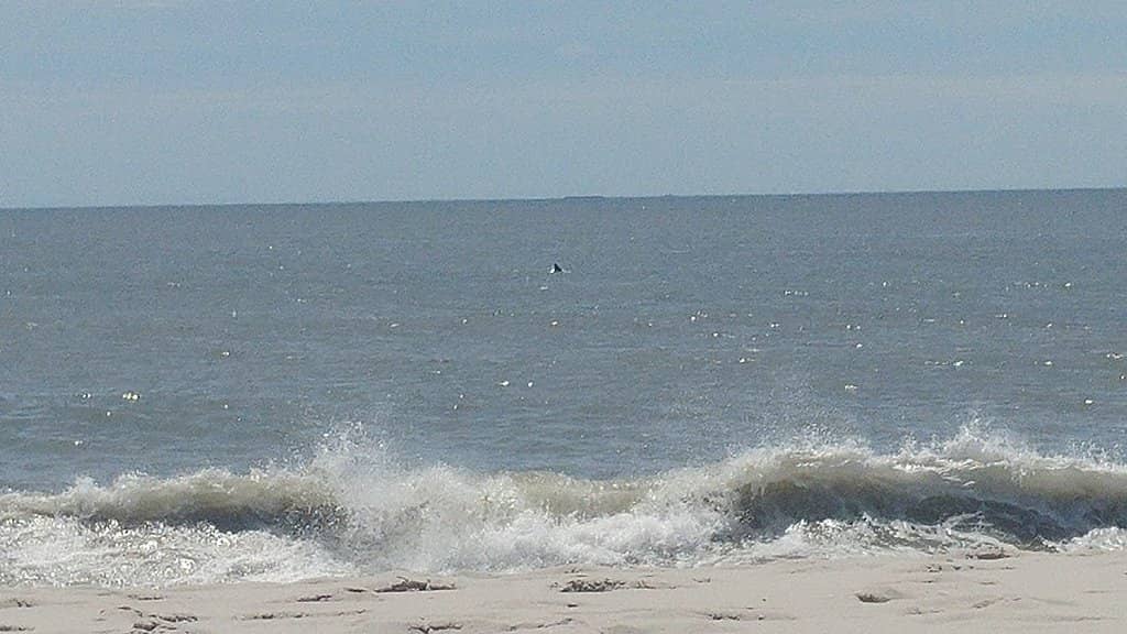 Penyal d'Ifach Views