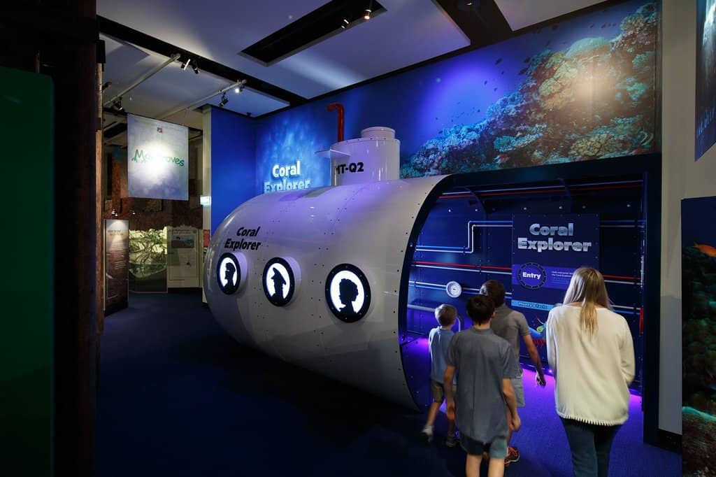 Interactive Science Zone