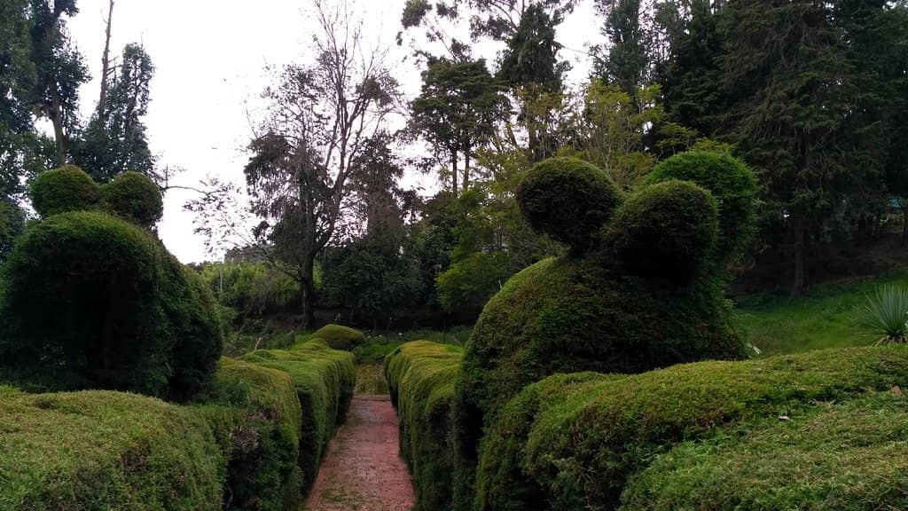 Vibrant Flower Gardens