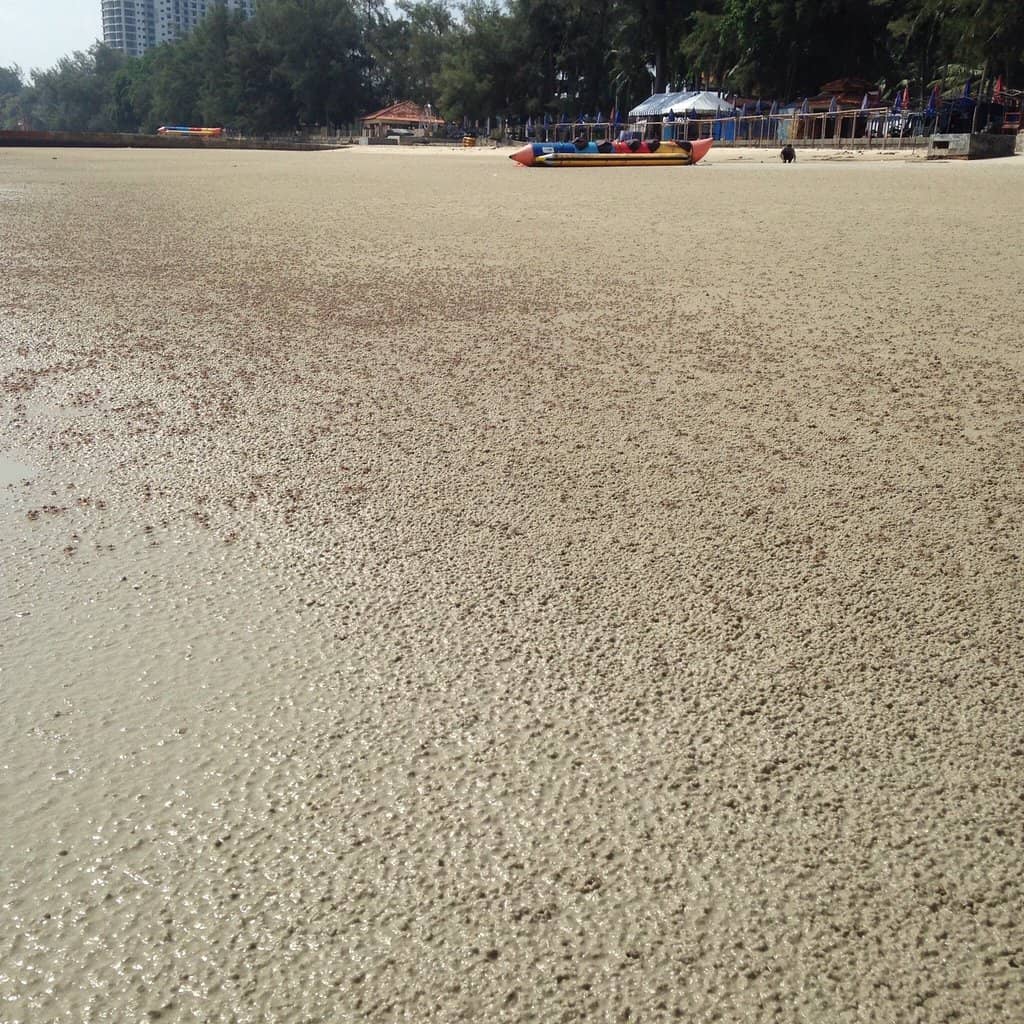 Sandy Shores for Strolling