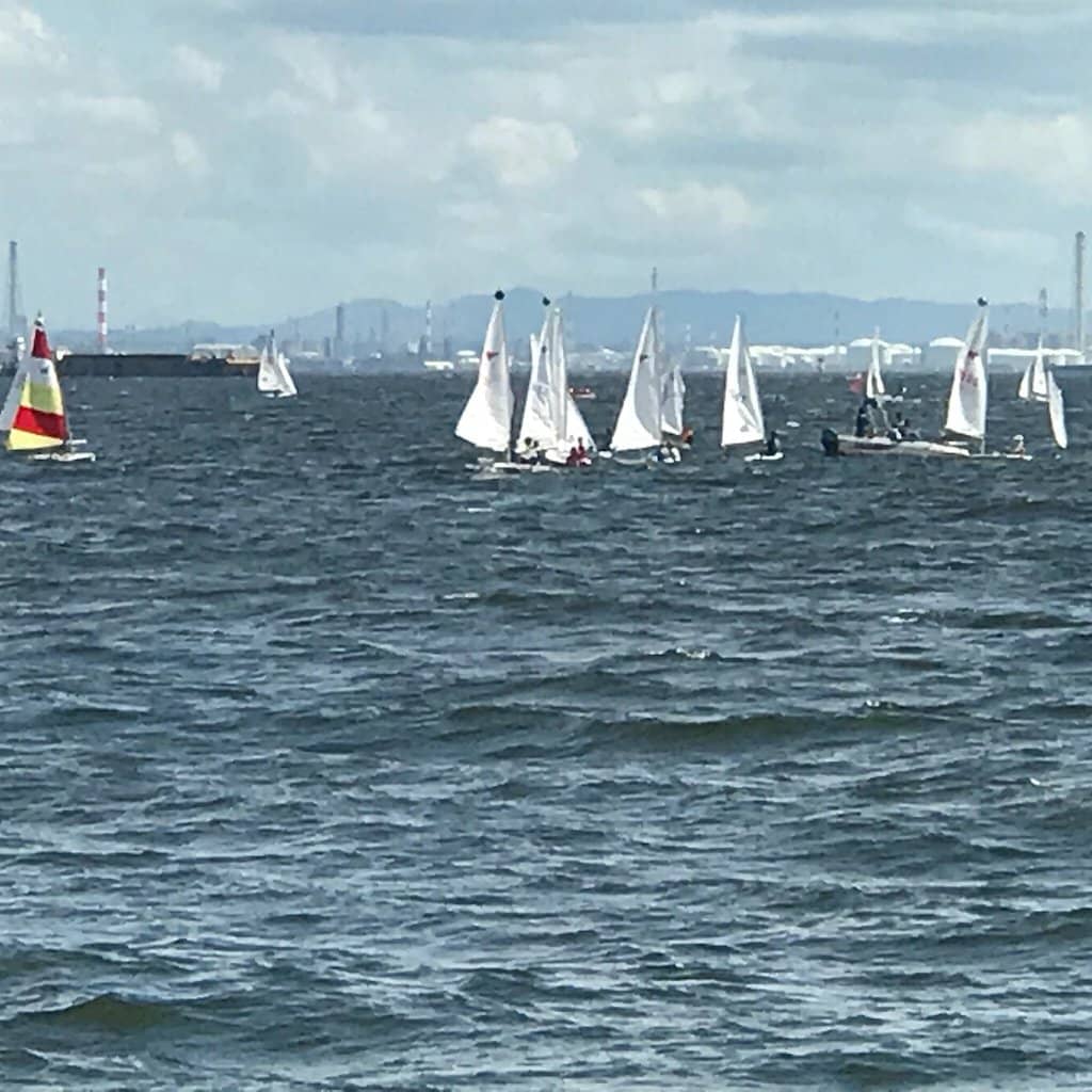 Amphitheater & BBQ Facilities