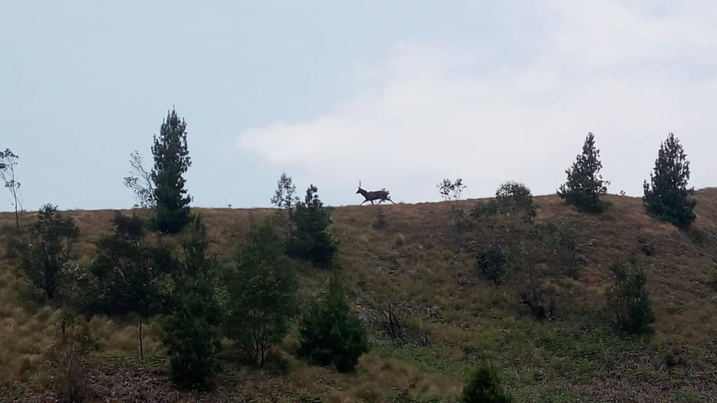 Cloud Bedding Phenomenon