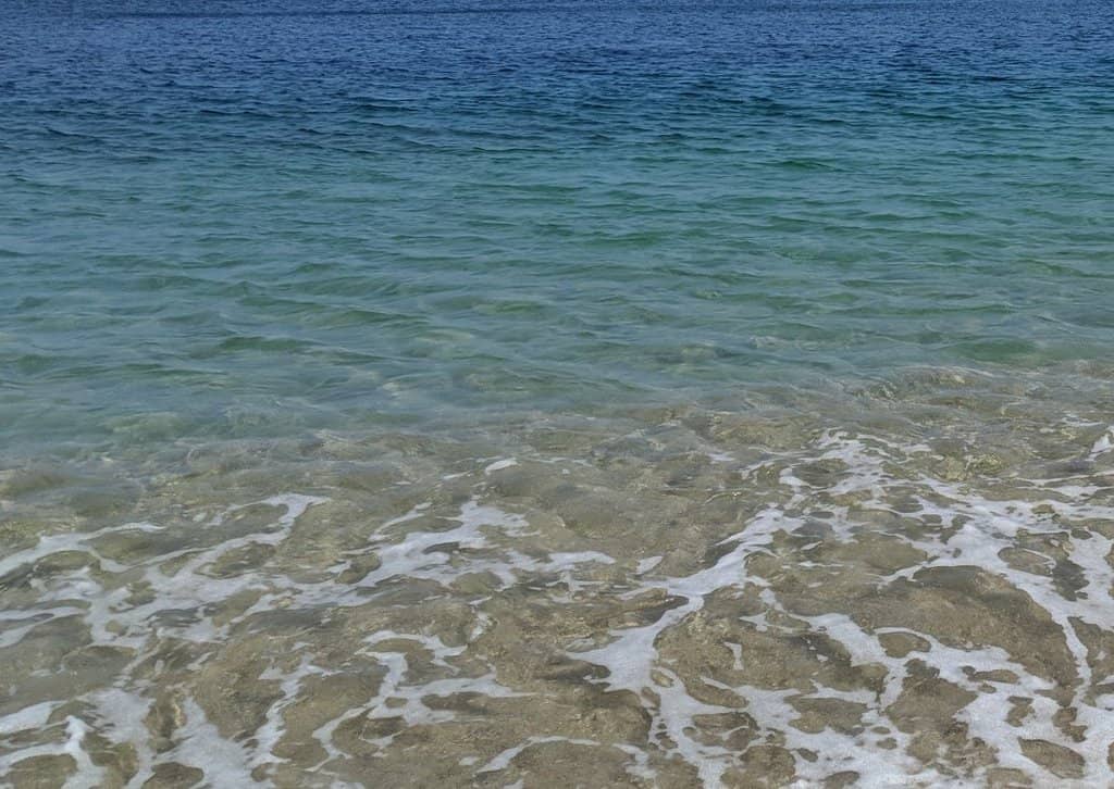 Lush Mountain Backdrop