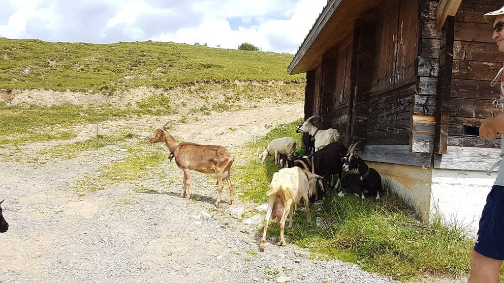 Paraglider Launch Point