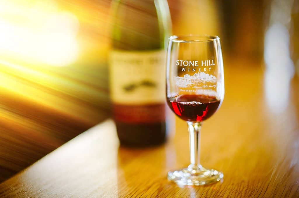 Wine Tasting Experience