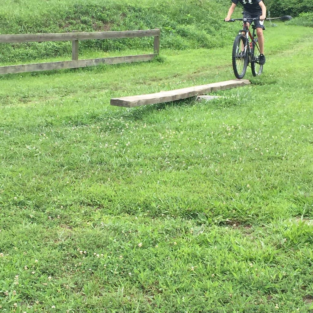 Vertical photo