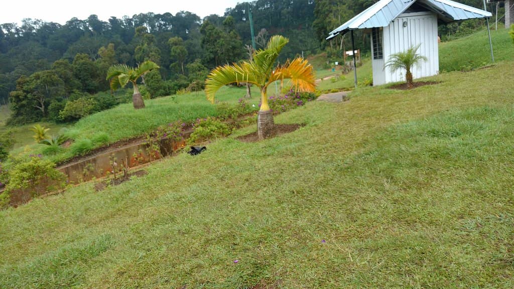 Elephant Lake Views