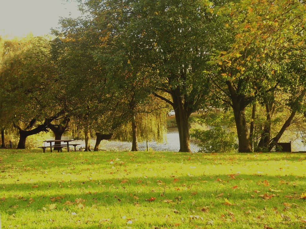 Grounded in the North Cafe