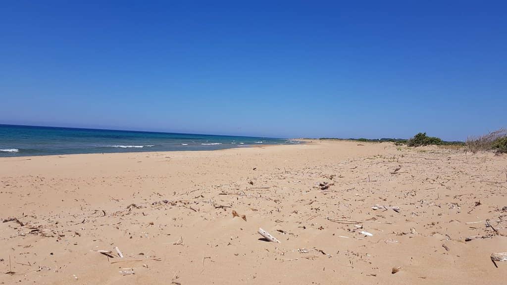 Windsurfing Paradise