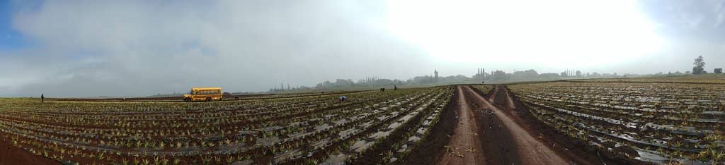 On-Site Restaurant & Gift Shop