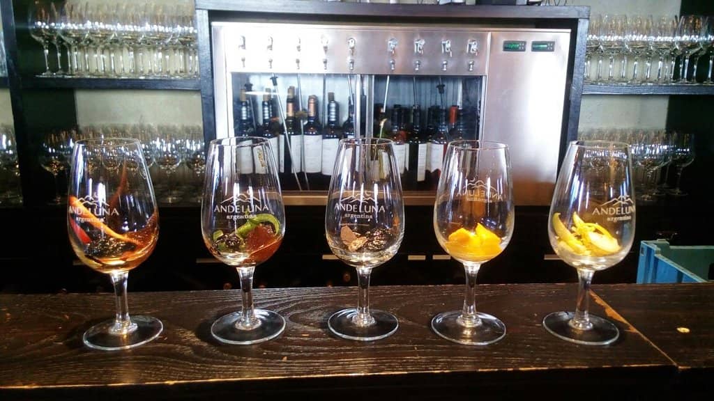 Wine Tasting Journey