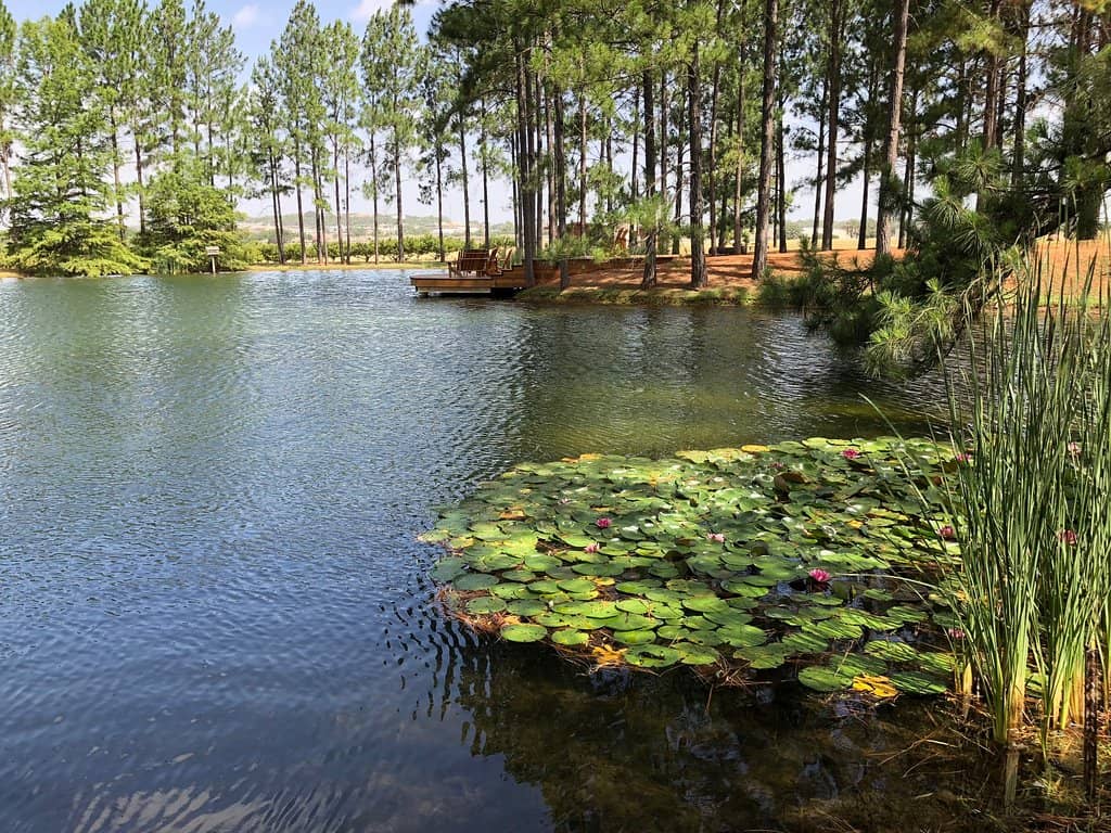 Wine Tasting Experience