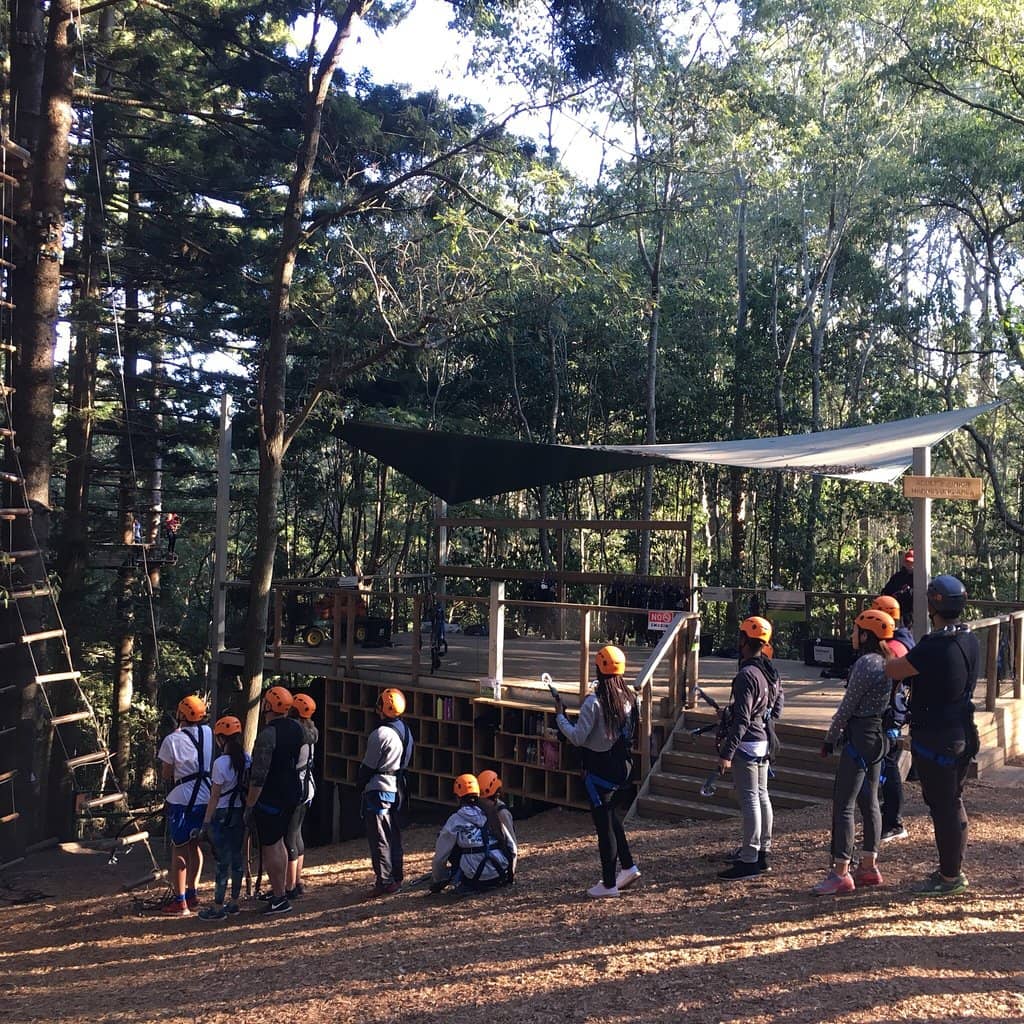 Ziplining Thrills