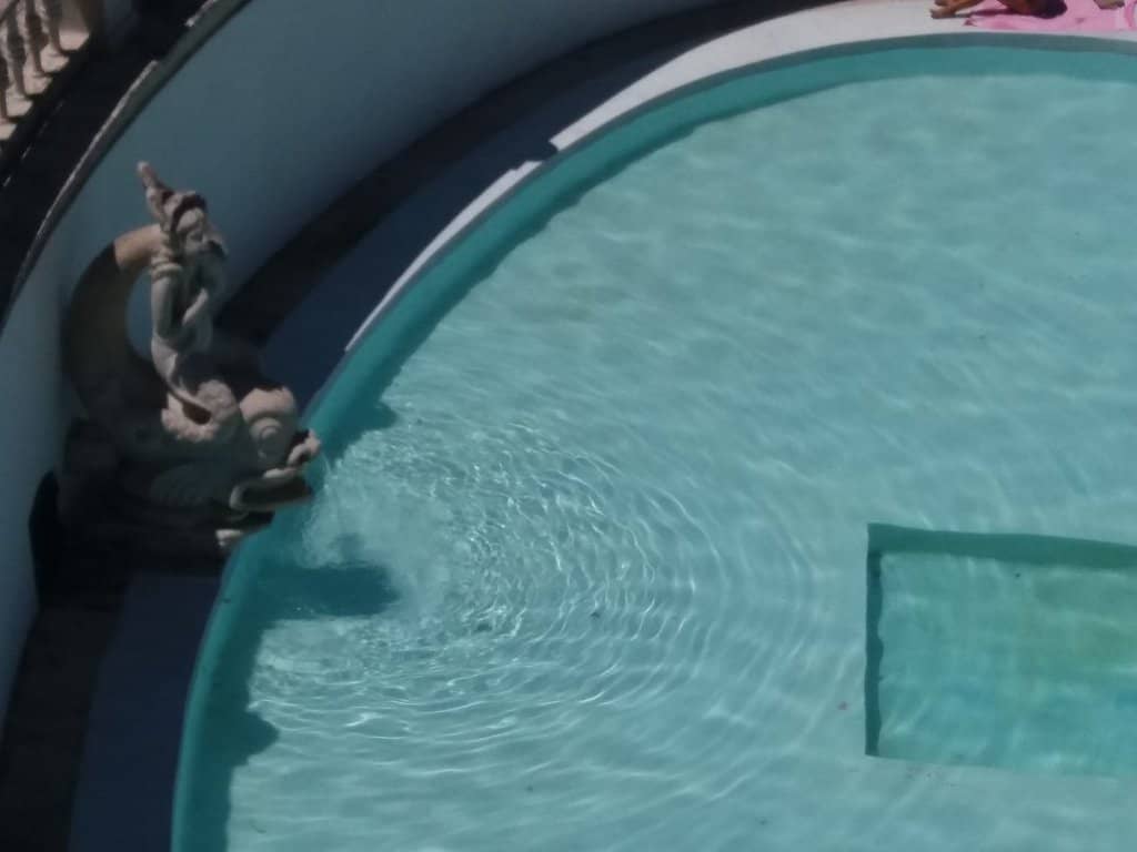 Tranquil Picnic Spot