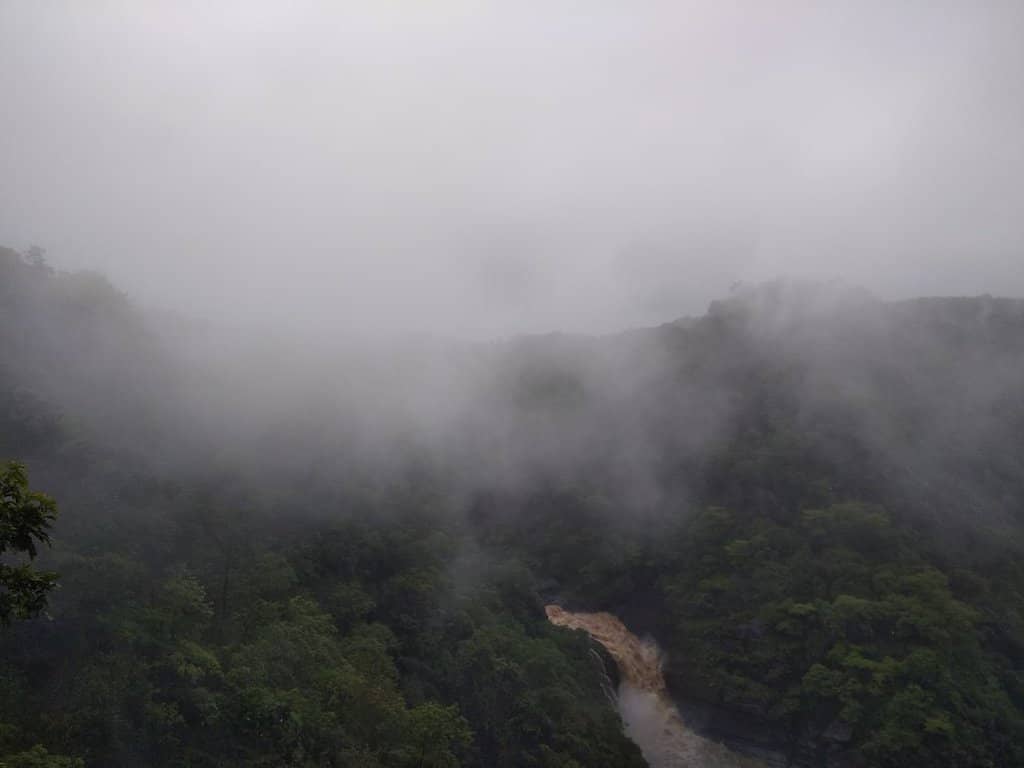 Monsoon Mist and Roar