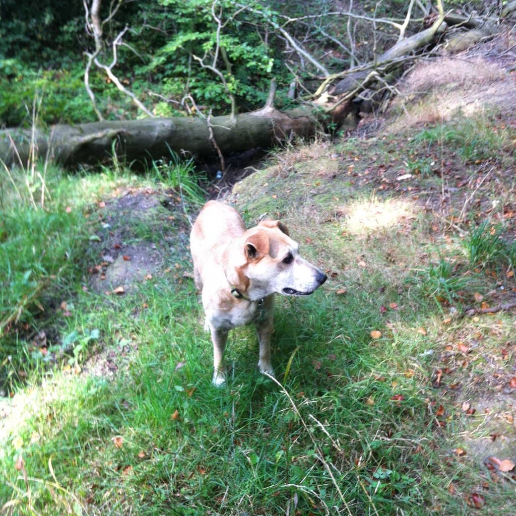 Historic 18th-Century Architecture