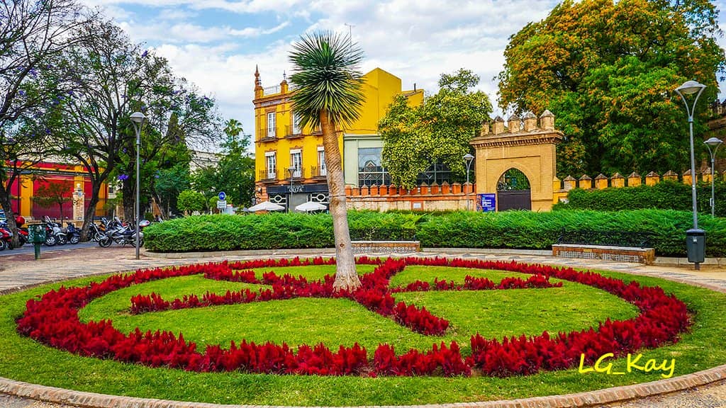Shaded Pathways and Benches
