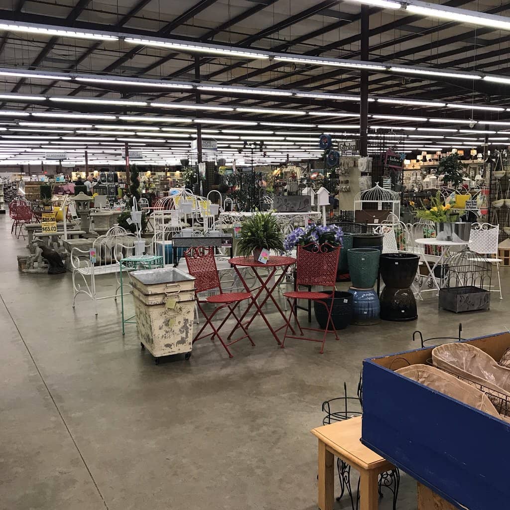 Lane Bryant Selection