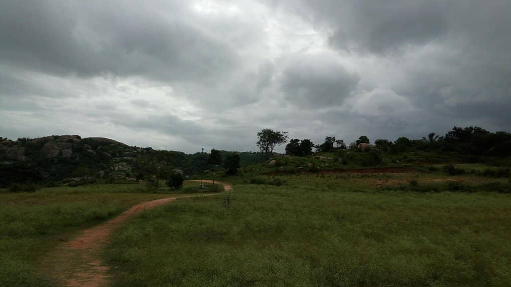 Nature Photography Spot