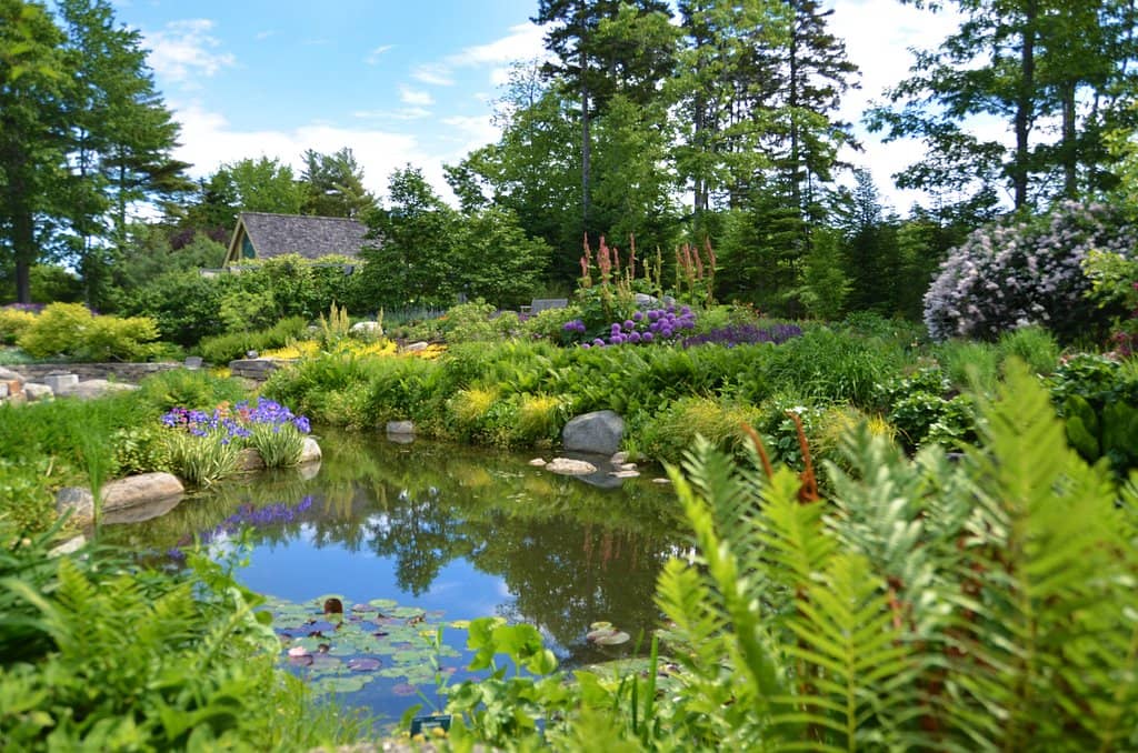 Gardens Aglow