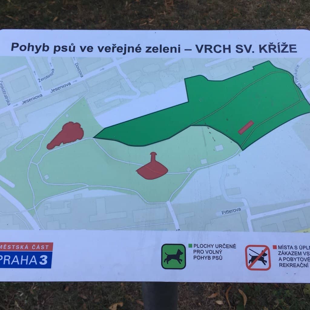 Local Picnic & BBQ Spot