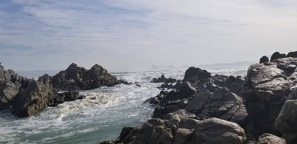 Land-Based Whale Watching