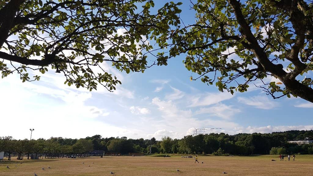 Expansive Sandy Shores