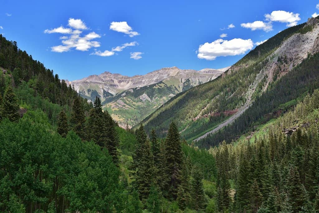 Bear Creek Trail Hike